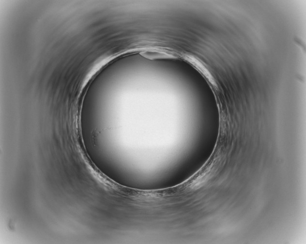 X0000093381101200710251211