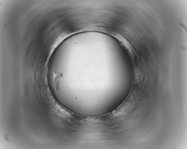 X0000093381102200710251211