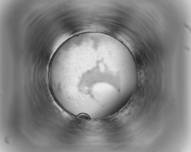 X0000093381103200710251211