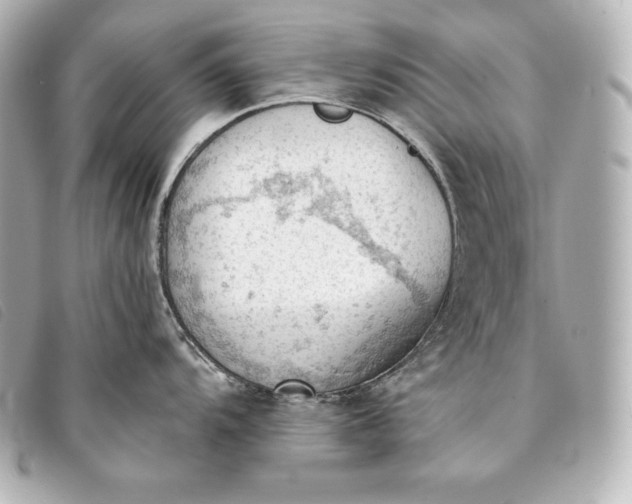 X0000093381104200710251211