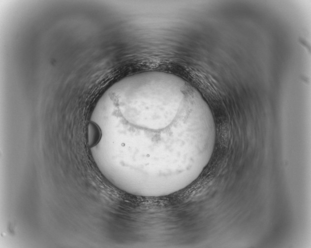 X0000093381105200710251210