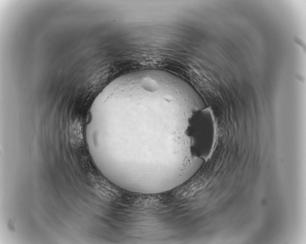 X0000093381106200710251210