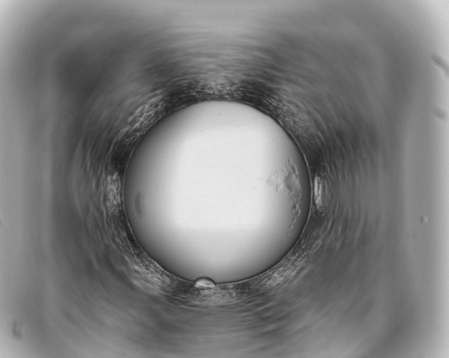 X0000093381107200710251210