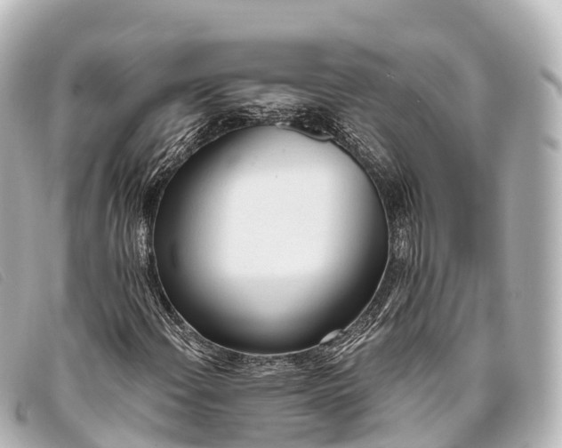 X0000093381108200710251210