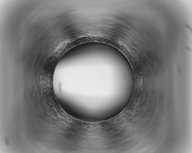 X0000093381110200710251210