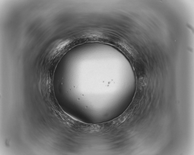 X0000093381111200710251210