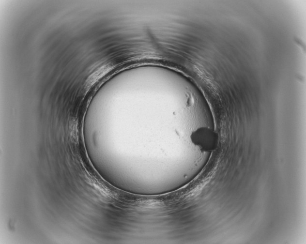 X0000093381113200710251210