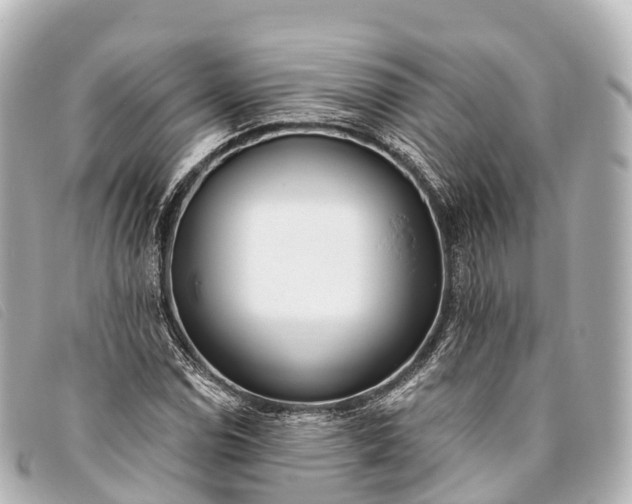 X0000093381114200710251210