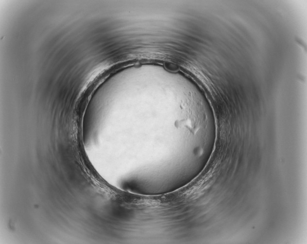 X0000093381115200710251210