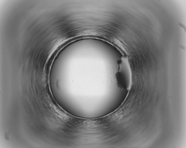 X0000093381116200710251210