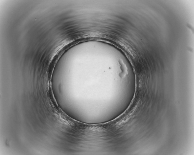 X0000093381117200710251210