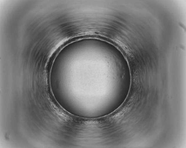 X0000093381118200710251210