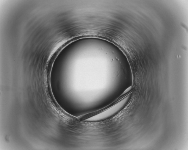 X0000093381120200710251210