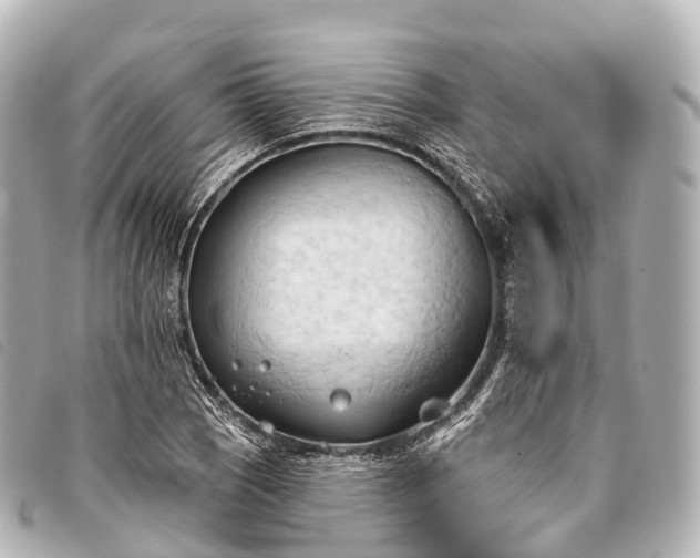 X0000093381121200710251210