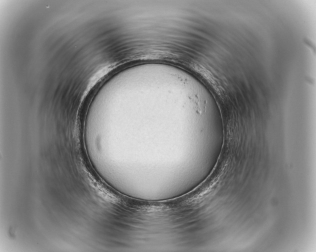 X0000093381122200710251210