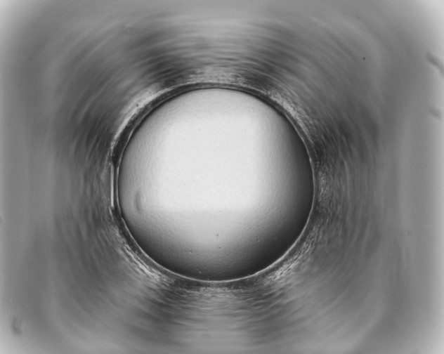 X0000093381123200710251210