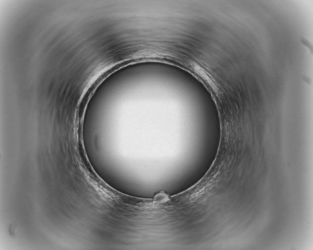 X0000093381124200710251210