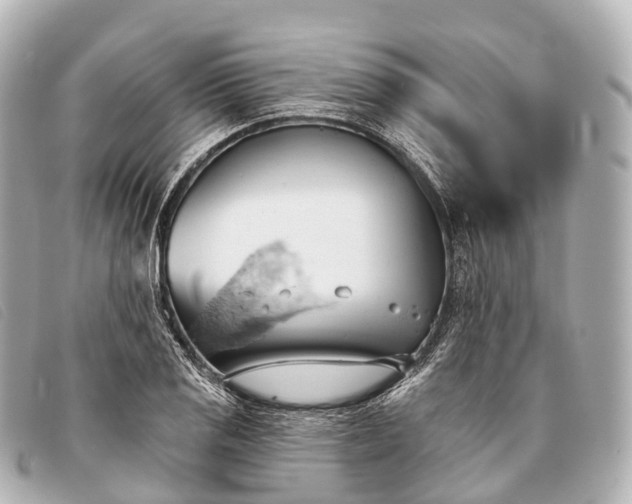 X0000093381125200710251210