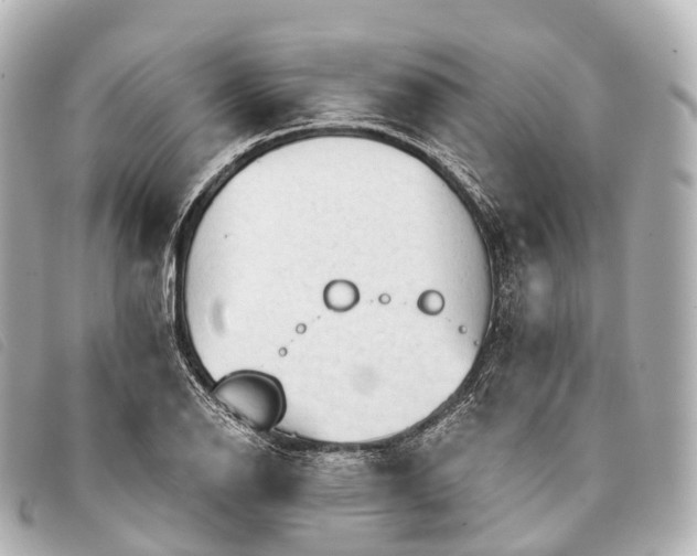 X0000093381126200710251210