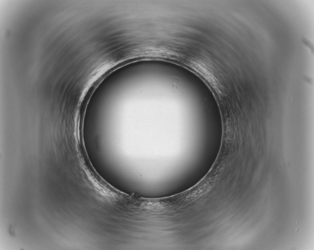 X0000093381128200710251210