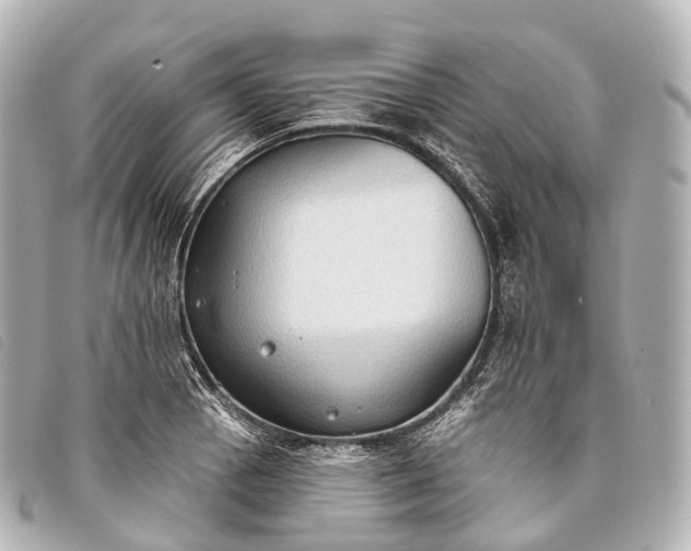 X0000093381129200710251210