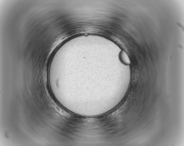 X0000093381130200710251210