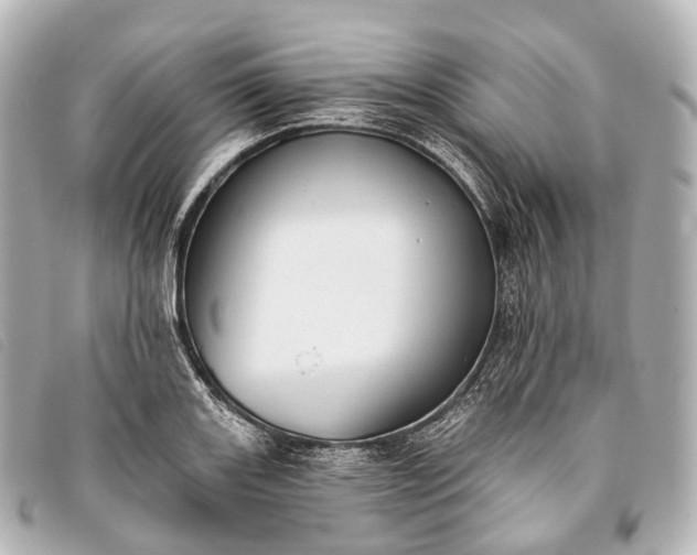 X0000093381131200710251210