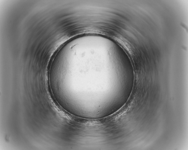 X0000093381133200710251210