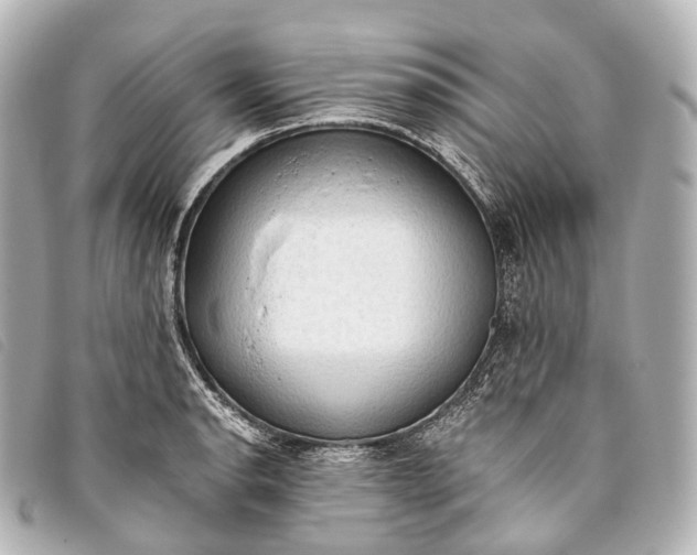 X0000093381134200710251210