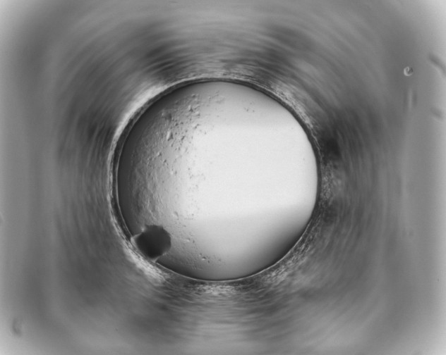 X0000093381136200710251210