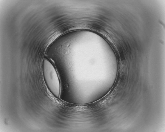 X0000093381137200710251210