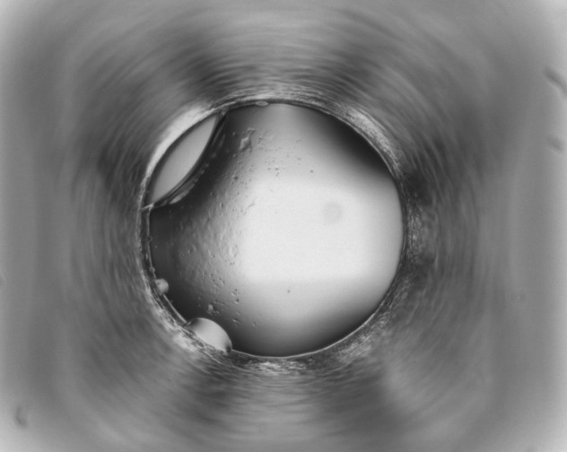 X0000093381138200710251210