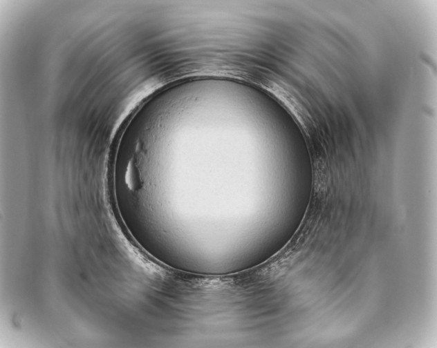 X0000093381139200710251210