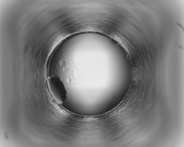 X0000093381140200710251210