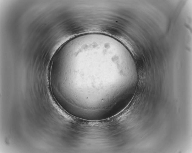 X0000093381142200710251210