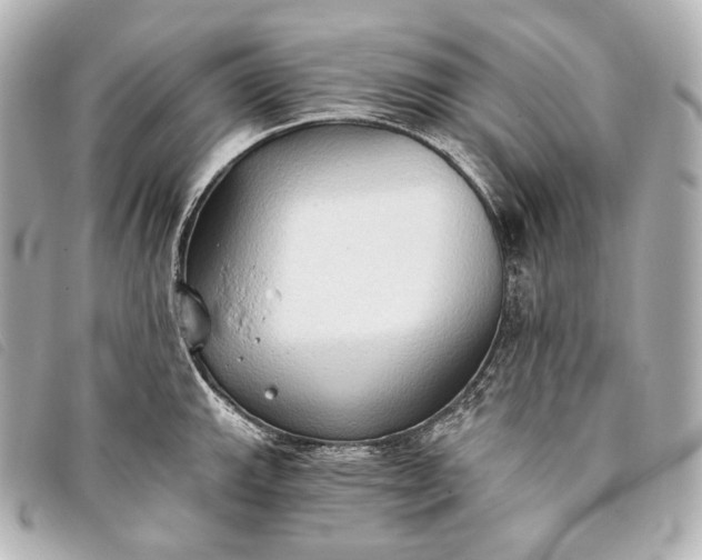 X0000093381143200710251210