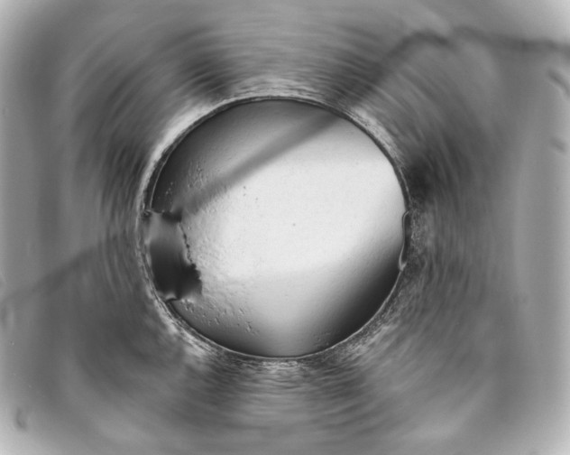 X0000093381144200710251211