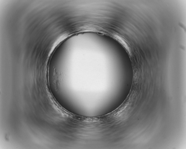 X0000093381146200710251211