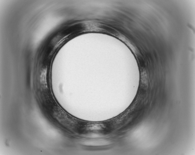 X0000093381150200710251211