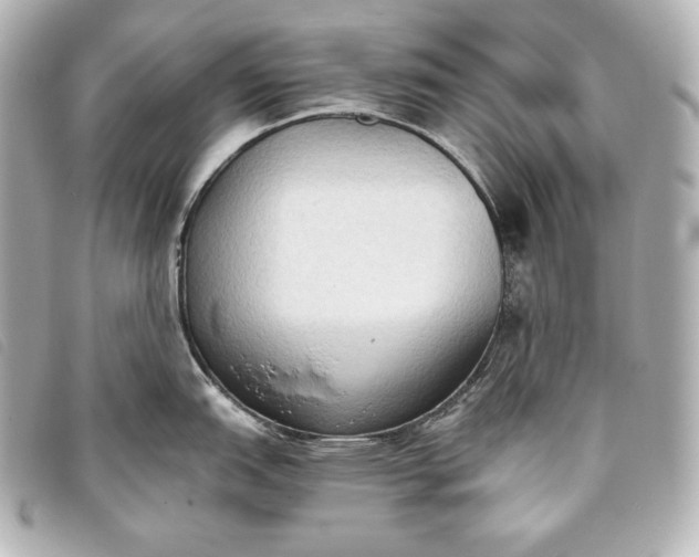 X0000093381151200710251211