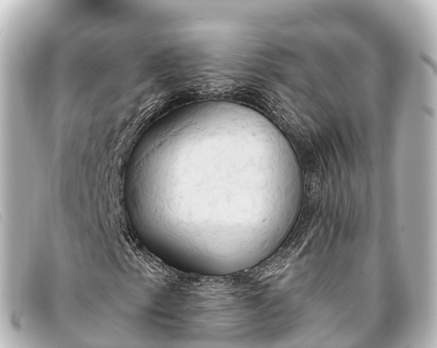 X0000093381153200710251210