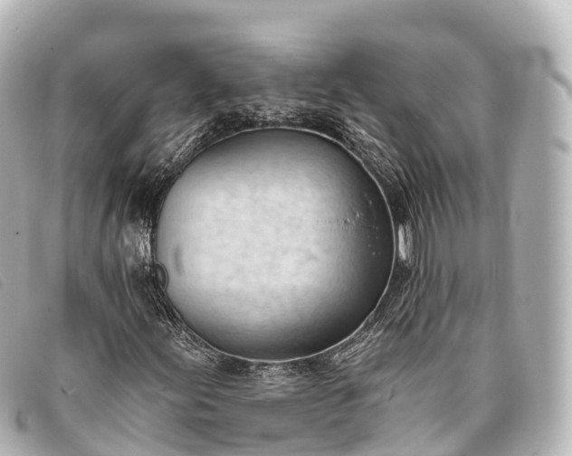 X0000093381155200710251210