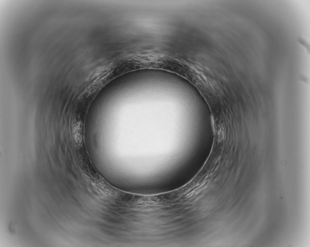 X0000093381156200710251210