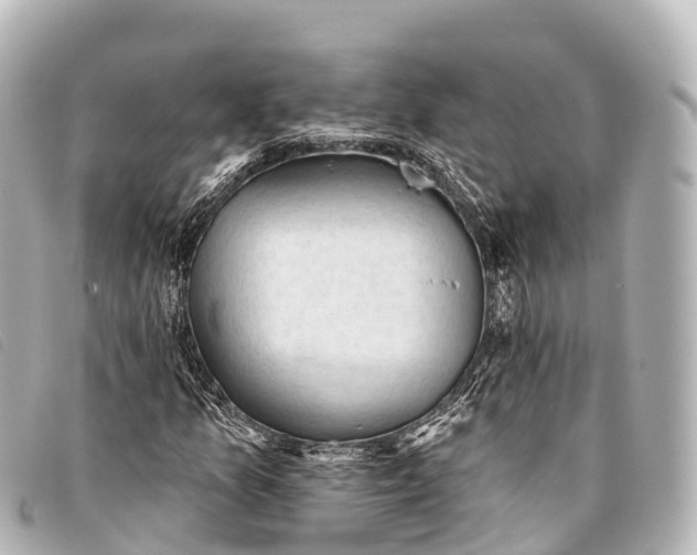 X0000093381157200710251210