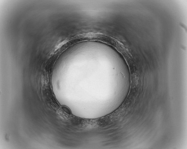 X0000093381158200710251210