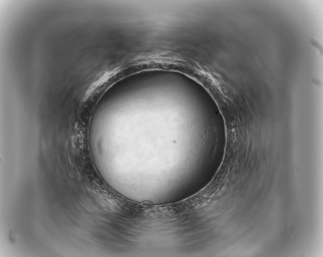 X0000093381159200710251210