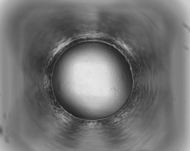 X0000093381160200710251210