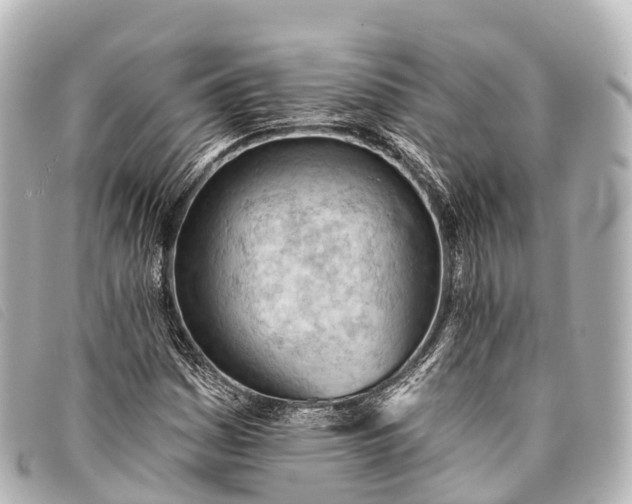 X0000093381161200710251210