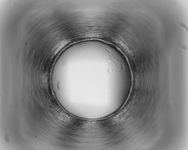 X0000093381162200710251210