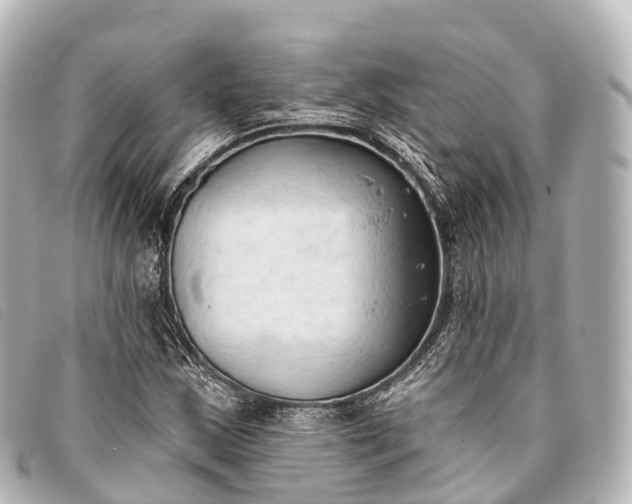 X0000093381163200710251210